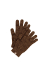 Glove, Kauri