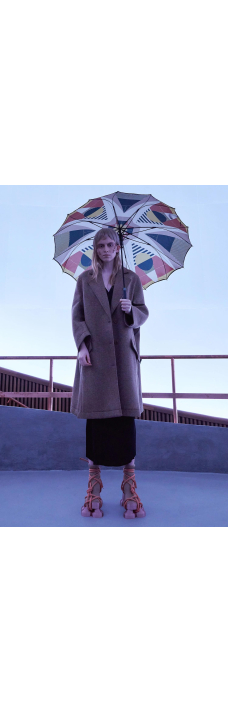 Umbrella, Brown