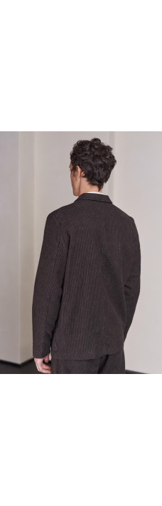 Elmar Blazer, Striped Brown