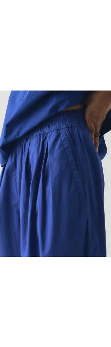 Pleated Trousers, Carmine Blue